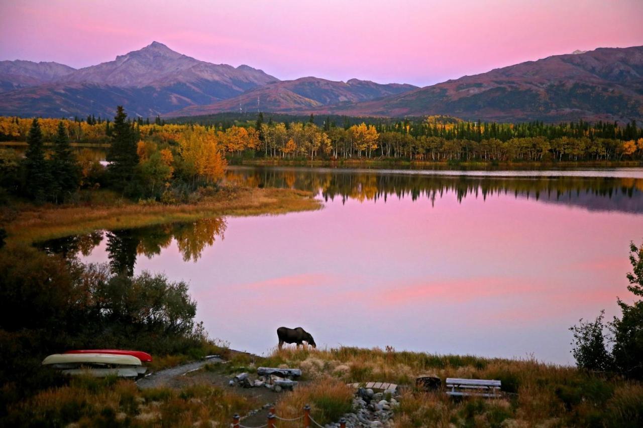Denali Lakeview Inn Healy Exteriör bild