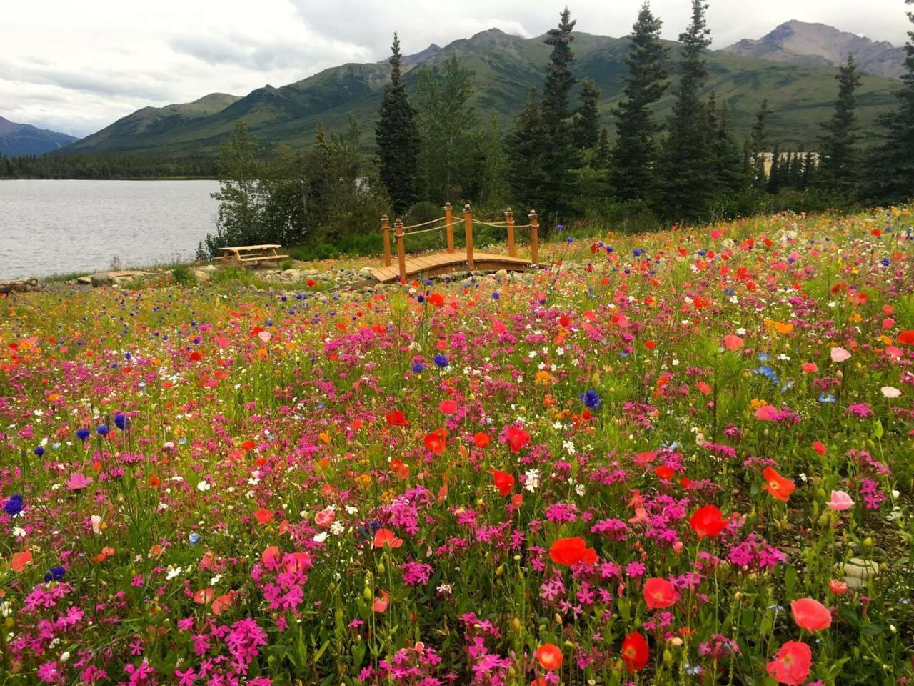 Denali Lakeview Inn Healy Exteriör bild
